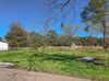 431 St Rose Ave photo